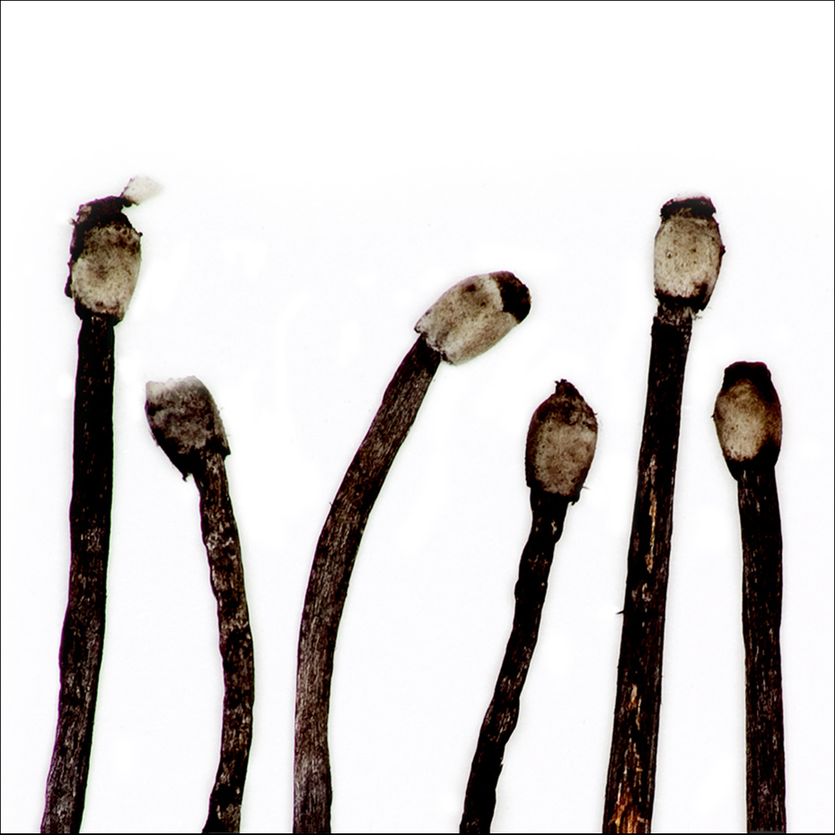 Matches