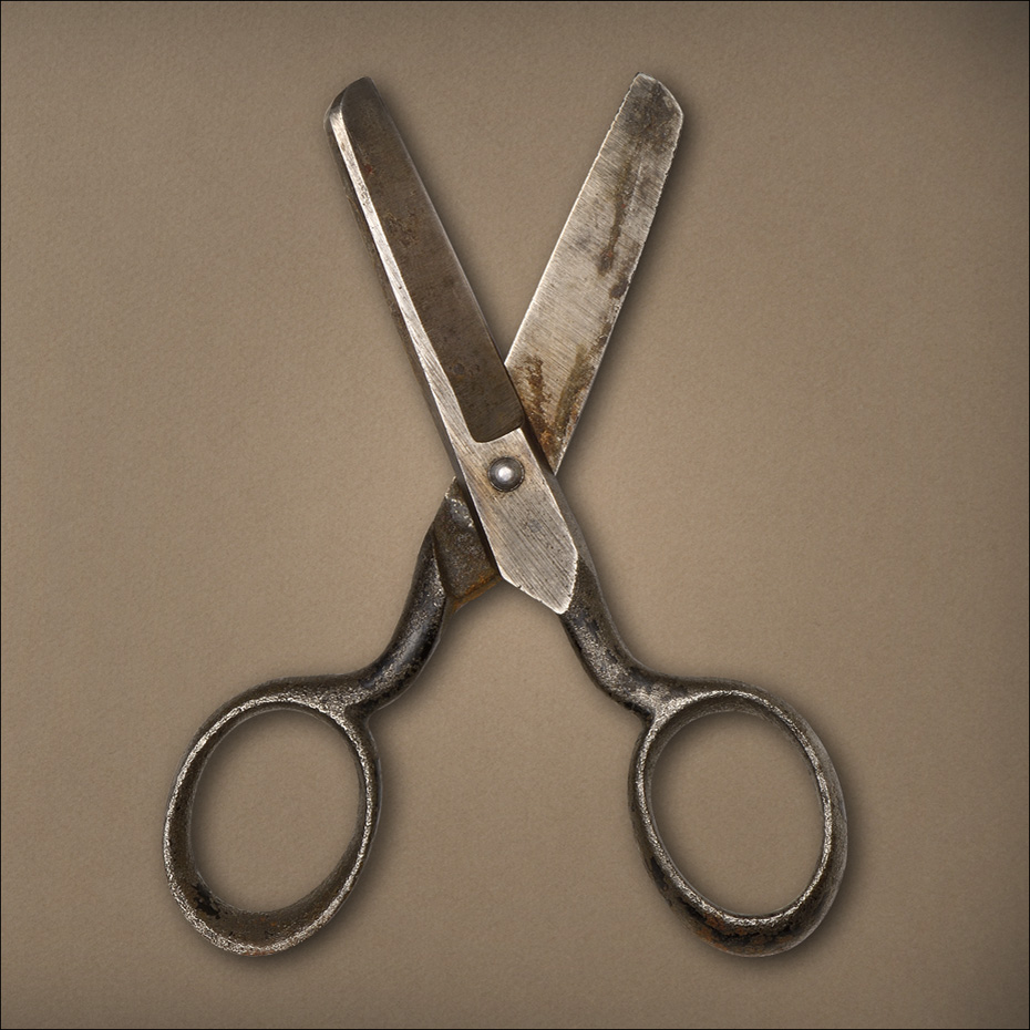 Single Metal Scissors